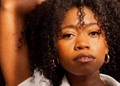 area model multiplication worksheets pdf