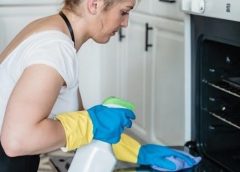 lemi shine dishwasher cleaner instructions